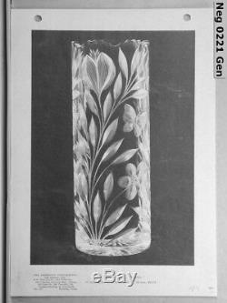 12 American Brilliant PAIRPOINT Cut MURILLO BUTTERFLY Glass Cylinder VASE