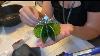 3d Stained Glass Cactus How To