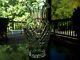 9 Flower Vase, Glass Cut Lead Crystal Waterford Dunmore Scallop Rim Diamond Fan
