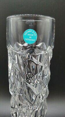 Tiffany & Co Vase Rock Cut Crystal lce 8 Cylinder Bud Signed New with Label